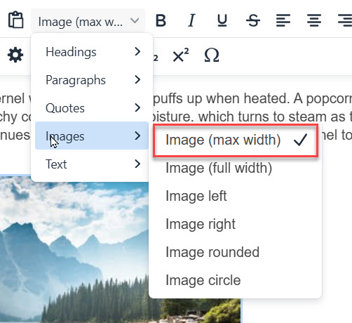 The style dropdown with the image max width style highlighted